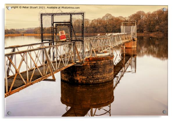 Worthington Lakes, Wigan, greater Manchester Acrylic by Peter Stuart