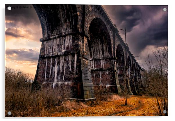 Sankey Valley Viaduct near Newton le Willows Acrylic by Peter Stuart