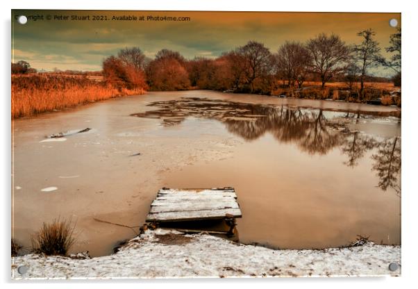 Frozen pond at Sankey Valley nature reserve Acrylic by Peter Stuart