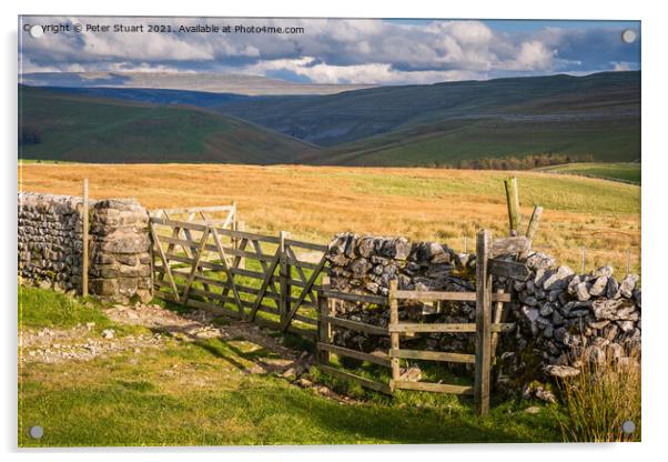 Fountains Fell from Malham Tarn Acrylic by Peter Stuart