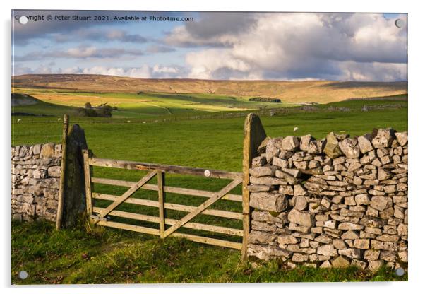 Fountains Fell from Malham Tarn Acrylic by Peter Stuart