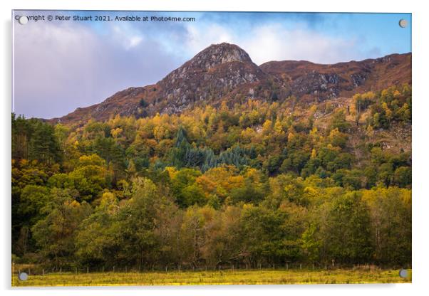 Ben A'an is a hill in the Trossachs Acrylic by Peter Stuart