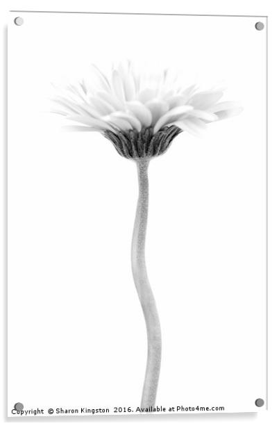 Elegant Flower Acrylic by Sharon Kingston