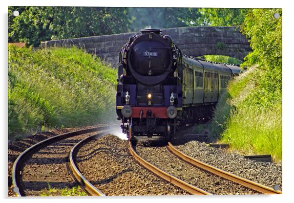 Steam locomotive 35018 British India Line. Acrylic by David Birchall