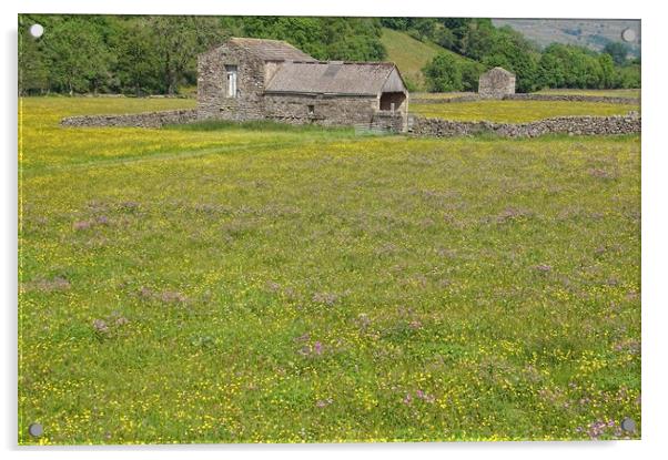 Barn and wildflower meadow in the Dales. Acrylic by David Birchall