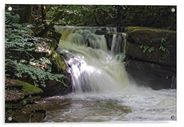 Waterfall at Healey Dell, Lancashire. Acrylic by David Birchall