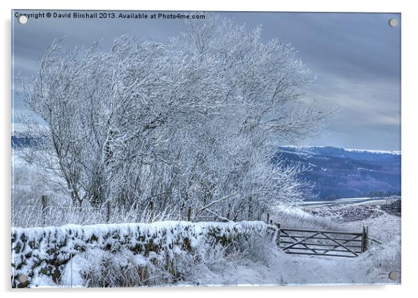 January Landscape Near Buxton Acrylic by David Birchall