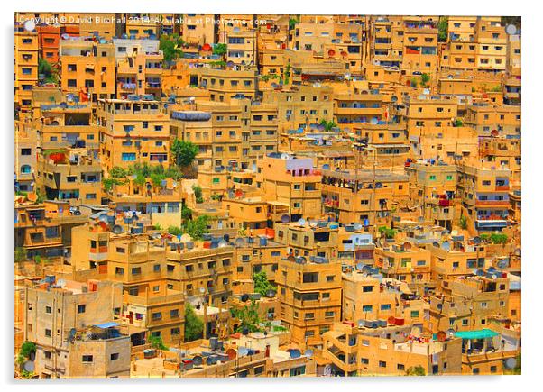 Yellow Maze in Amman, Jordan Acrylic by David Birchall