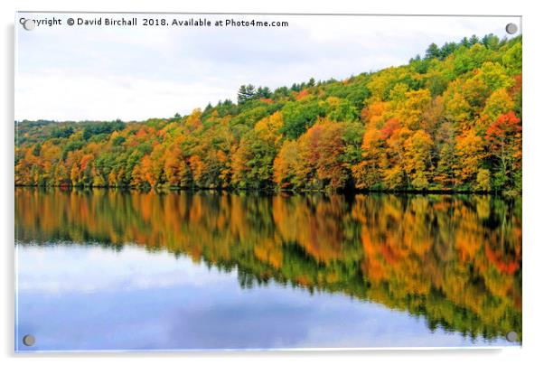 Autumn Reflections in New England, America. Acrylic by David Birchall