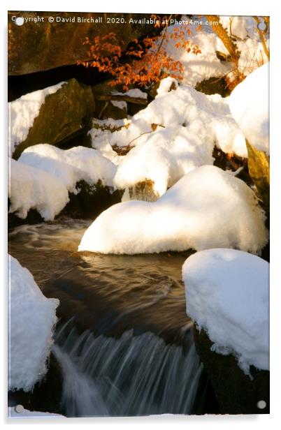 Winter Stream Acrylic by David Birchall