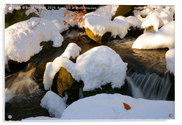 Winter Stream Landscape Acrylic by David Birchall