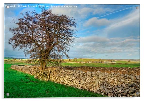 Peak District landscape near Litton. Acrylic by David Birchall