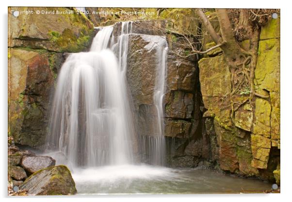 Waterfall at Lumsdale Valley, Derbyshire Acrylic by David Birchall