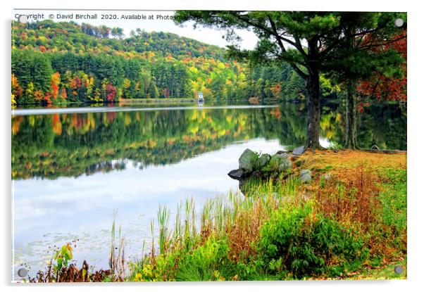 Autumn in New England Acrylic by David Birchall