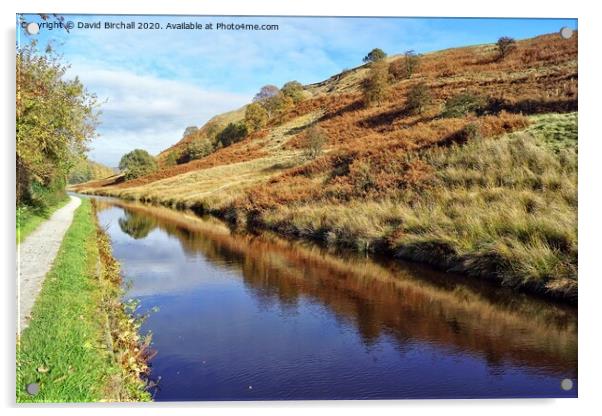 Canal side autumn at Summit village. Acrylic by David Birchall