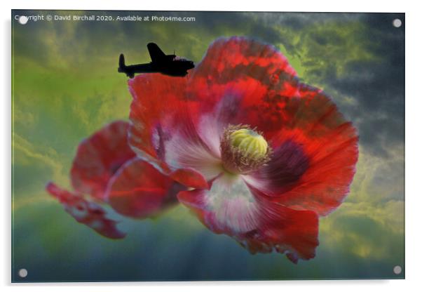 Lancaster Bomber and Poppies. Acrylic by David Birchall