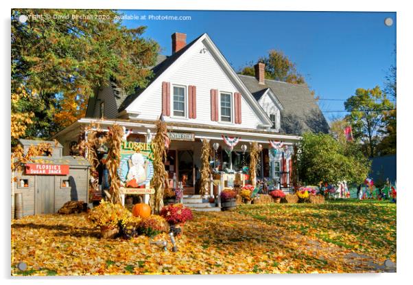 Country store at Jackson, New Hampshire, America. Acrylic by David Birchall