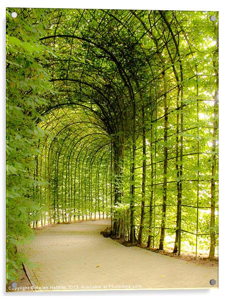 Alnwick Gardens Tunnel, Secluded Walkway Acrylic by Helen Holmes