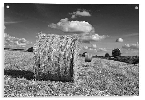 Round straw bales Acrylic by A B