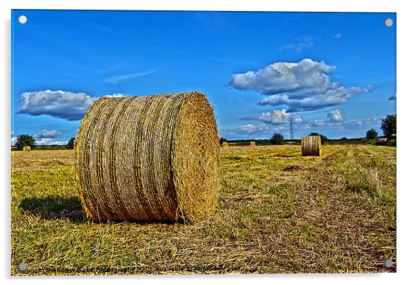 Round Straw Bales Acrylic by A B