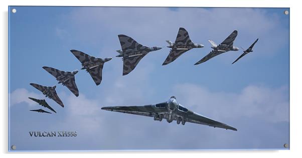 Vulcan Flypast Acrylic by Rock Weasel Designs