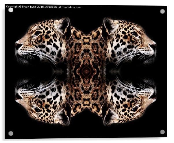  Jaguar art Acrylic by bryan hynd