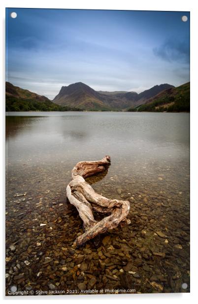 Driftwood on Buttermere lake Acrylic by Steve Jackson