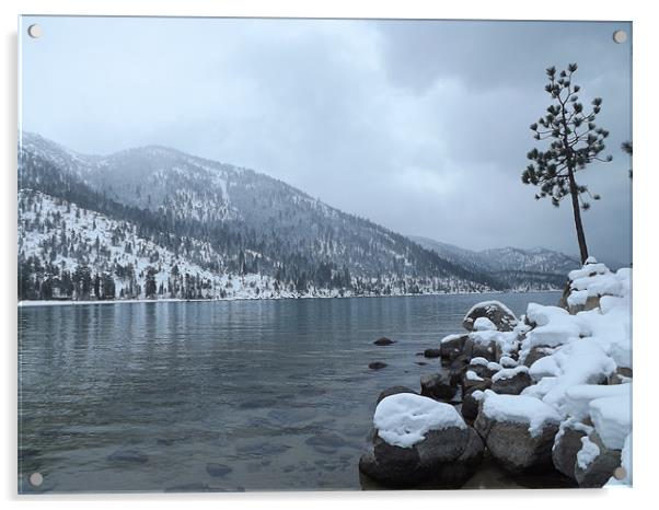 Winter at Lake Tahoe Acrylic by Aramis Hahne