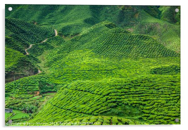 Cameron Highlands Acrylic by Perry Johnson