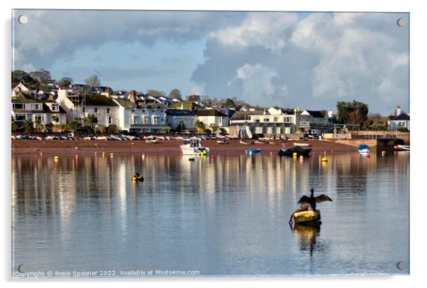 Early morning view of Shaldon  Acrylic by Rosie Spooner