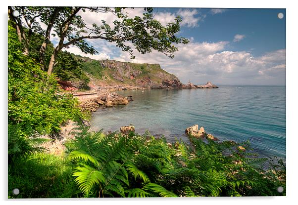 Ansteys Cove Torquay and Long Quarry Point Acrylic by Rosie Spooner