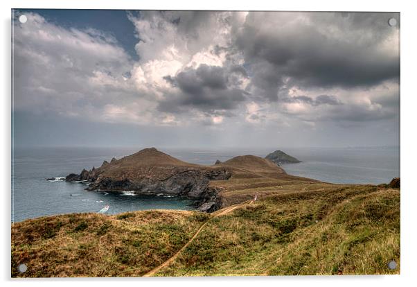  The Rumps on the North Cornwall Coast Path Acrylic by Rosie Spooner