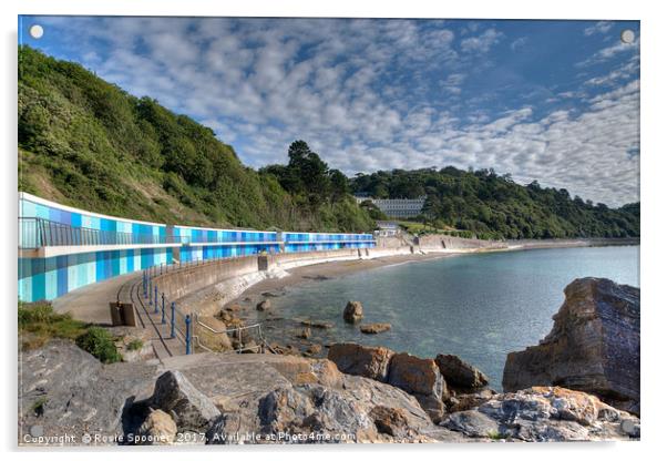 Meadfoot Beach Chalets and Osborne Hotel Torquay Acrylic by Rosie Spooner