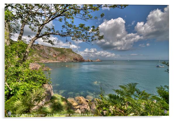 Ansteys Cove and Long Quarry Point Torquay Acrylic by Rosie Spooner