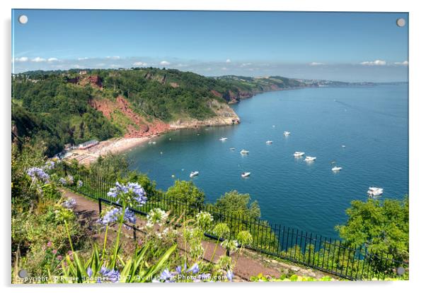 Busy day in Babbacombe Bay and Oddicombe  Beach  Acrylic by Rosie Spooner