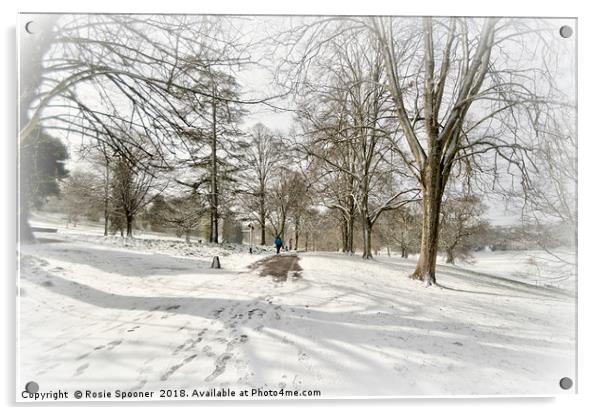 Snowy day at Cockington Country Park in Torquay Acrylic by Rosie Spooner