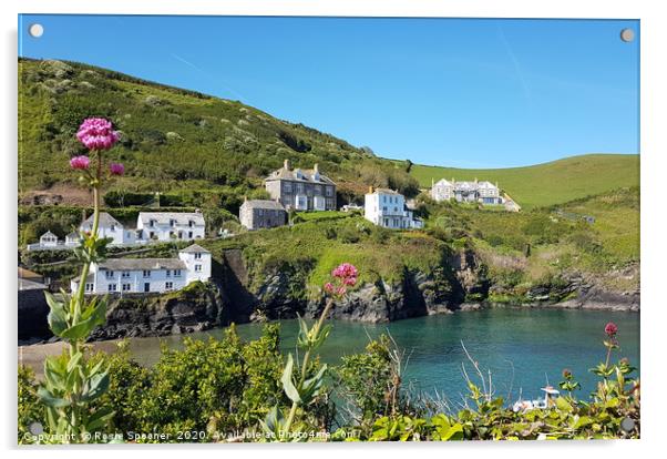 Port Isaac in Cornwall  viewed from the coast path Acrylic by Rosie Spooner