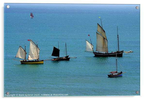 Luggers during Regatta at Looe Acrylic by Rosie Spooner
