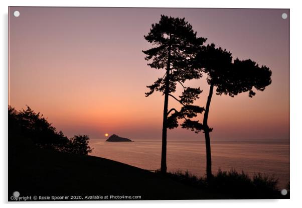 Silhouetted trees at Sunrise at Meadfoot Beach in  Acrylic by Rosie Spooner