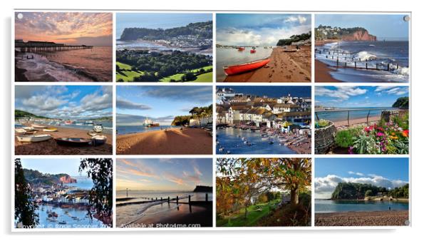 Teignmouth and Shaldon throughout the seasons Acrylic by Rosie Spooner