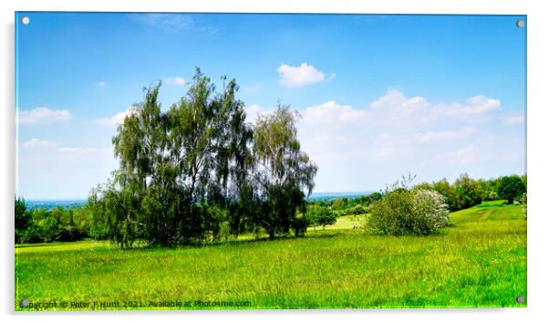 Epsom Downs Surrey Acrylic by Peter F Hunt