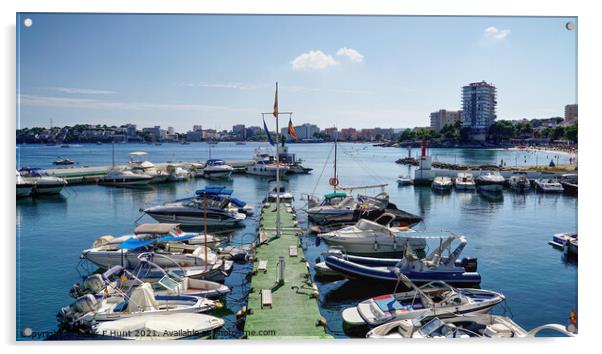 Palmanova Marina Mallorca Acrylic by Peter F Hunt