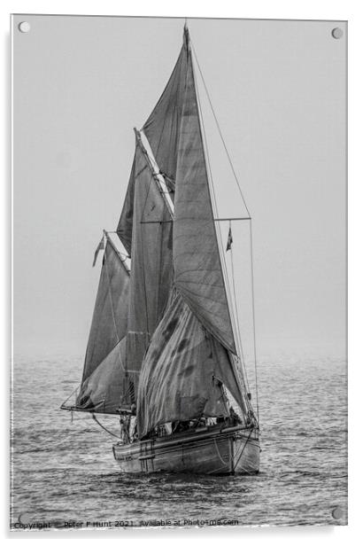 Brixham Sailing Trawler Provident BM 28 Acrylic by Peter F Hunt