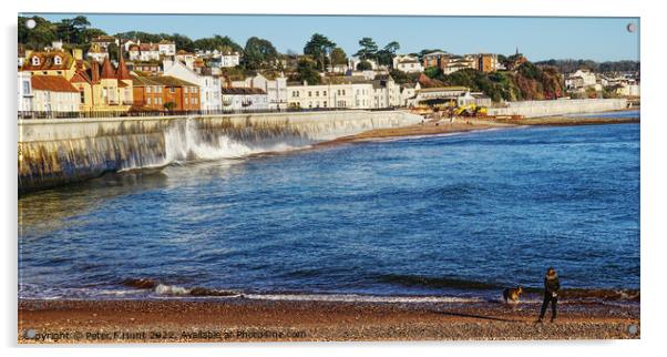 New Sea Wall At Dawlish Acrylic by Peter F Hunt