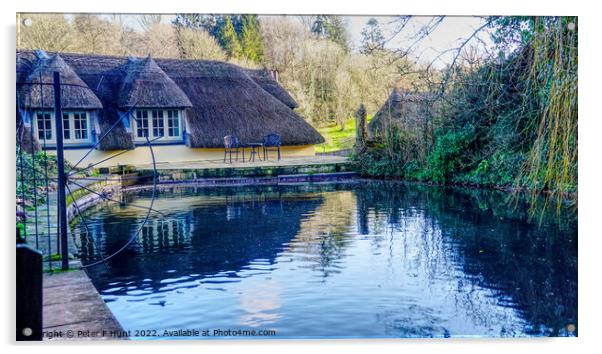 The Mill Pond Cockington Torquay Acrylic by Peter F Hunt