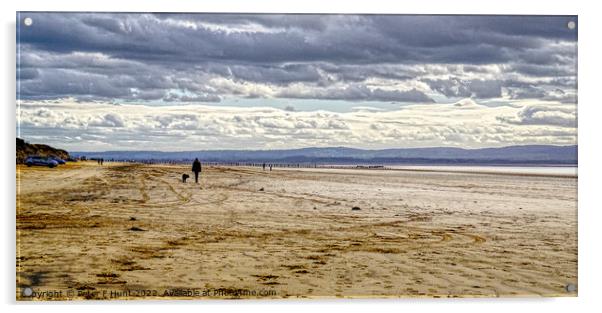 Moody Berrow Beach Somerset Acrylic by Peter F Hunt