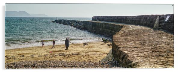 The Cobb Lyme Regis  Acrylic by Peter F Hunt