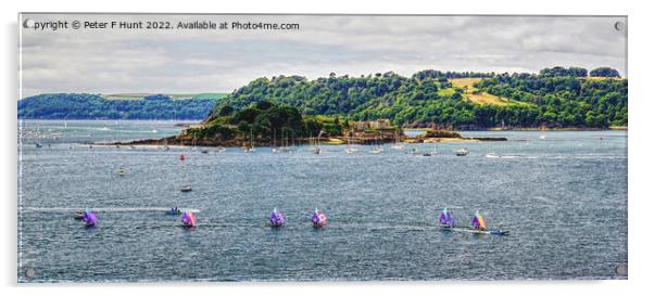 Dinghy Racing Plymouth Sound Acrylic by Peter F Hunt