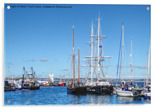 Pilgrim BM 45 And TS Royalist Acrylic by Peter F Hunt