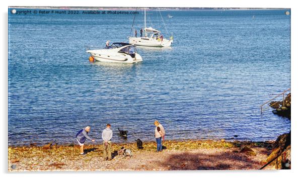 Boats A Beach People And Dogs  Acrylic by Peter F Hunt